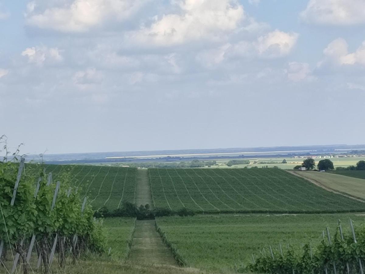 Kuca Za Odmor Kiss-Karanac,Baranja Villa Exterior photo